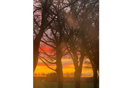 Haus mit Garage nach Sanierung 125m2 - Tribsees