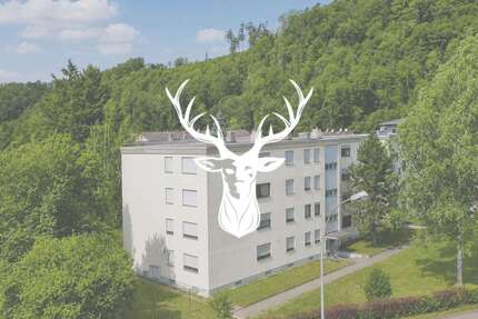 Wohnung zum Kaufen in Wutöschingen 149.000,00 € 53 m²