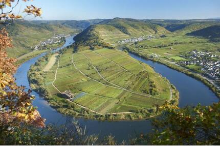 Ferienhaus Ferienwohnung mit Moselblick Mosel Cochem Zell 4 - Peterswald-Löffelscheid