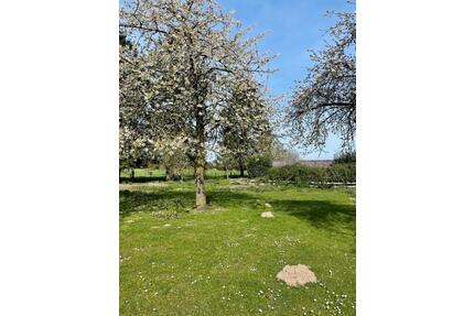 Wiese zu verpachten - 200,00&nbsp;EUR Kaltmiete, ca.&nbsp; 0,00&nbsp;m&sup2; in Wesel (PLZ: 46485) Fusternberg