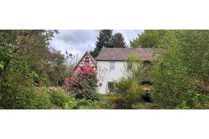 Denkmalgeschütztes Bauernhaus mit großem Grundstück - Bad Neualbenreuth