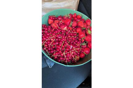 KleingartenSchrebergarten - 1.999,00&nbsp;EUR Kaltmiete, ca.&nbsp; 0,00&nbsp;m&sup2; in Cuxhaven (PLZ: 27472)