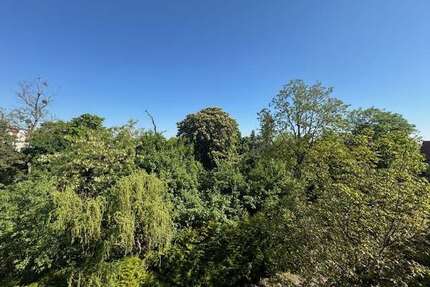 Wohnung zum Mieten in Magdeburg 1.000,00 € 65 m²