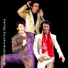3x Elvis! Die große Elvis-Zeitreise! - Shaky Everett, Oliver Steinhoff, Brian Troy