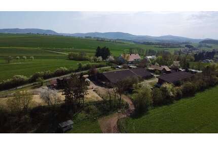 Haus zum Kaufen in Kirrweiler 795.000,00 € 277 m²