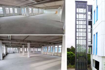 Halle in Wiedemar 4.808,00 € 1095.18 m²