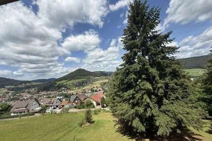 Wohnung zum Kaufen in Baiersbronn 49.900,00 € 31 m²