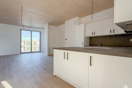 Wohnung zum Mieten in Heilbronn 1.709,00 € 97.5 m²