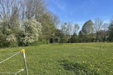 Grundstück zu verkaufen in Berg 205.000,00 € 2000 m²