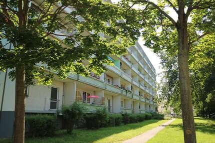Wohnung zum Mieten in Gardelegen 345,00 € 54.51 m²