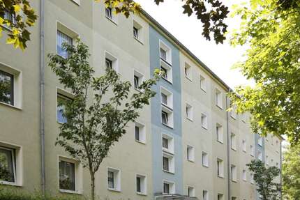 Wohnung zum Mieten in Weißenfels 377,00 € 58 m²