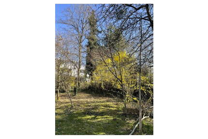 Exklusives Baugrundstück für Einfamilien- oder Doppelhausbebauung - Pullach