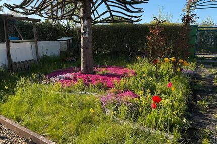 Ein wunderschöner Garten - 1.900,00&nbsp;EUR Kaltmiete, ca.&nbsp; 0,00&nbsp;m&sup2; in Kassel (PLZ: 34125) Fasanenhof