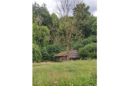 Grundstück mit Altbestand + WeiherWiese + großer Waldanteil - Birnkofen (Adlkofen)