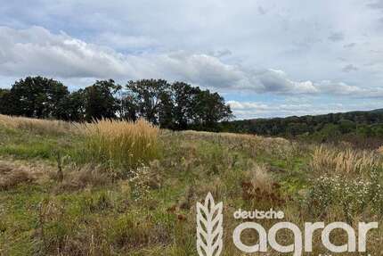 Grundstück in Klipphausen Gauernitz 5.900,00 € 9353 m² - Klipphausen / Gauernitz