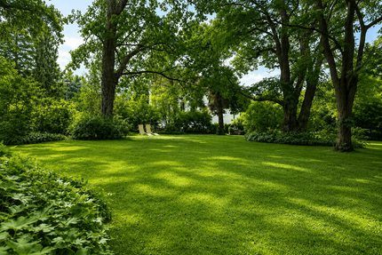 Grundstück zu verkaufen in Kleinmachnow 990.000,00 € 930 m²