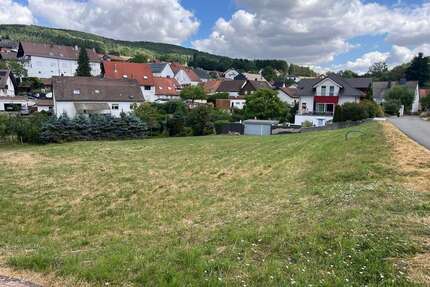 Grundstück zu verkaufen in Bosenbach 75.000,00 € 798 m²