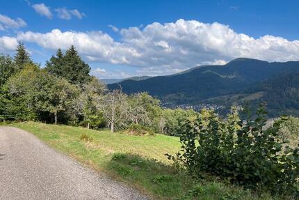 Freizeitgrundstück in Forbach Schwarzwald zu verpachten