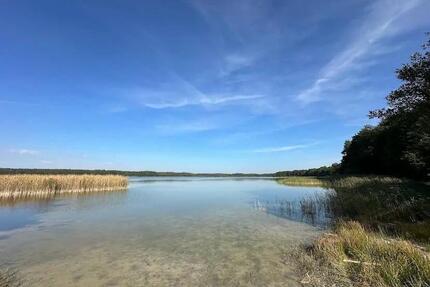 Erster Monat kostenlos! Einzigartiges Waldstück am Massower See - Eldetal