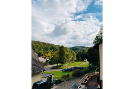 2 Zimmerwohnung DG-Wohnung 54m in Ersingen - Kämpfelbach