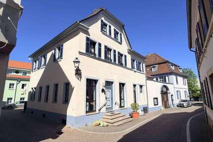 Wohnung zum Mieten in Kirchheimbolanden 520,00 € 55 m²