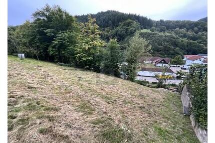SCHÖNE AUSSICHTEN FÜR EIN GEMEINSAMES ZUHAUSE - Weisenbach