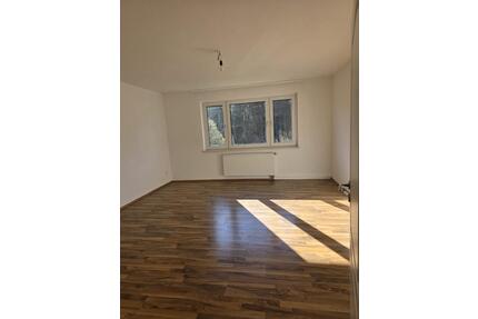 Lüdenscheid 3. Zimmer Mietwohnung 2. Etage Sonnenseite 85qm - Werdohl