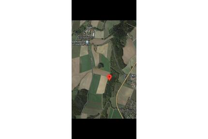 Waldgrundstück Gemeinde Kirchendemenreuth - Altenstadt an der Waldnaab