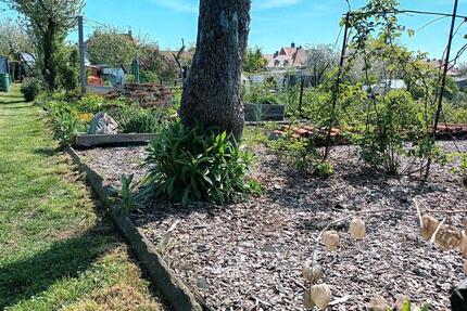 Pachtgarten mit Highlight - 3.299,00&nbsp;EUR Kaltmiete, ca.&nbsp; 0,00&nbsp;m&sup2; in Gotha (PLZ: 99867)