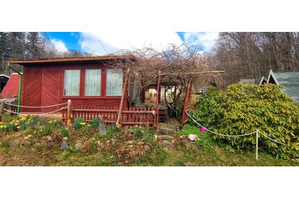 Kleingarten in Krummhermsdorf bei Sebnitz abzugeben - Dresden Leuben