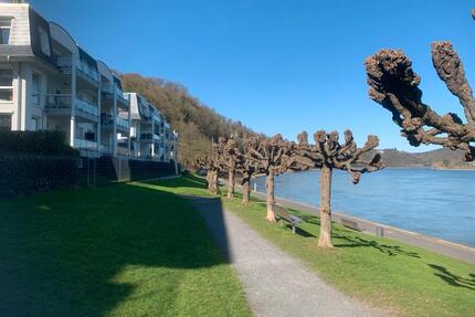 Penthouse an der Rheinpromenade - Remagen