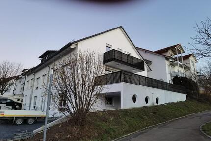 Exklusive 2-Zimmer-Wohnung mit EBK und Stellplatz - Großbettlingen