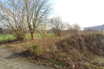 Sackgassenlage! Baugrundstück mit Blick auf das Wiehengebirge in Bad Oeynhausen-Wulferdingsen
