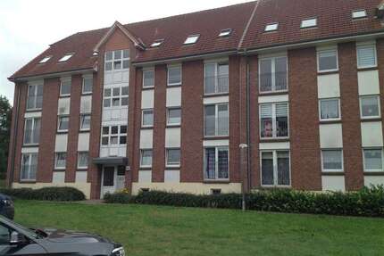 Wohnung zum Mieten in Warin 485,00 € 50 m²