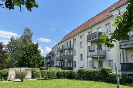 Wohnung zum Kaufen in Zwickau 37.000,00 € 40.25 m²