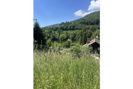 Grundstück zu verkaufen in Neckargemünd 700.000,00 € 4000 m²
