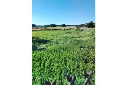 Vierseithof - 800.000,00&nbsp;EUR Kaufpreis, ca.&nbsp; 500,00&nbsp;m&sup2; in Nuthe-Urstromtal (PLZ: 14947)
