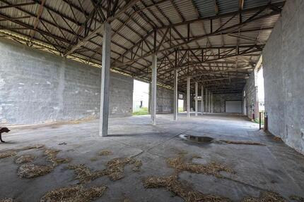 785 m² Halle Lagerhalle Schweinestall Hühnerstall Pferdestall Kuhstall Hundeschule Grundstück - Jessen (Elster)