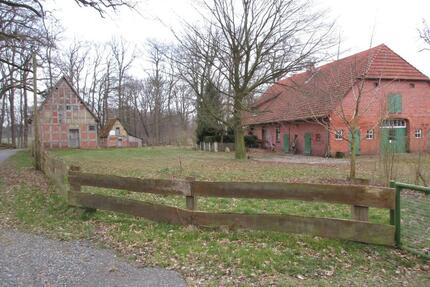 Großes Bauernhaus mit diversen Nebengebäuden - Wietzen
