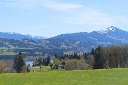 Grundstück zu verkaufen in Sulzberg Untergassen 395.000,00 € 2117 m² - Sulzberg / Untergassen