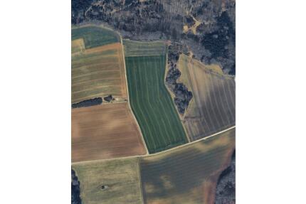 Landwirtschaftliche Nutzfläche - 16,00&nbsp;EUR Kaltmiete, ca.&nbsp; 0,00&nbsp;m&sup2; in Mannheim (PLZ: 68309) Käfertal