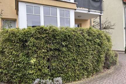 Wohnung zum Mieten in Neu Isenburg 1.035,00 € 59 m²