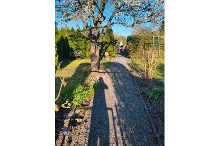 Pachgarten Oberröblingen Sangerhausen