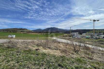 Grundstück zu verkaufen in Müllheim 389.000,00 € 533 m²