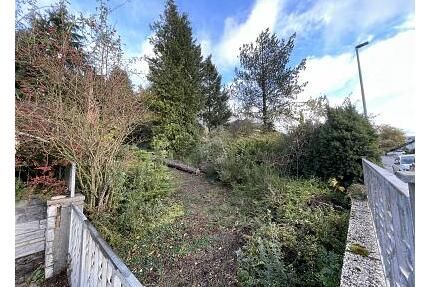 ROHDIAMANT MIT ERHOLUNGSCHARAKTER - Rettert