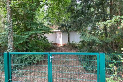 Waldgrundstück mit Wochenendhaus und Teichzugang - Neustadt am Rübenberge