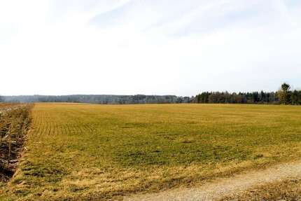 Grundstück zu verkaufen in Mundraching 115.000,00 € 18930 m²