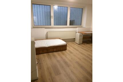 Sanierte Einzimmerwohnung in Edenkoben - Neustadt an der Weinstraße