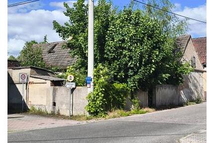 GRÜN, RUHIG UND IDYLLISCH - MIT ALTBESTAND - Schönwölkau