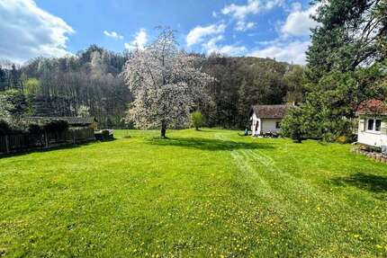 Grundstück zu verkaufen in Wald-Michelbach Kreidach 99.000,00 € 785 m² - Wald-Michelbach / Kreidach